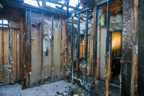 Professional Odor Removal technician working in Churchill, OH